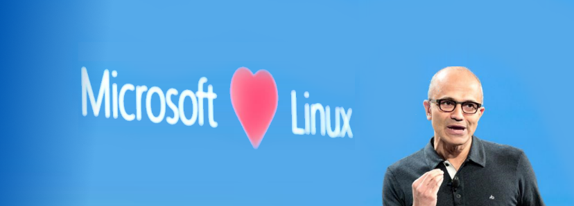 Sabe o que a cloud da Microsoft e a infraestrutura Ipdroid têm em comum?